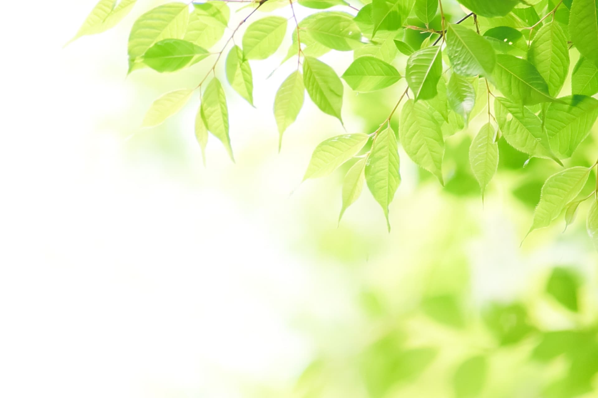 サービスについて